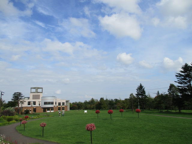 d0198793_17954100.jpg