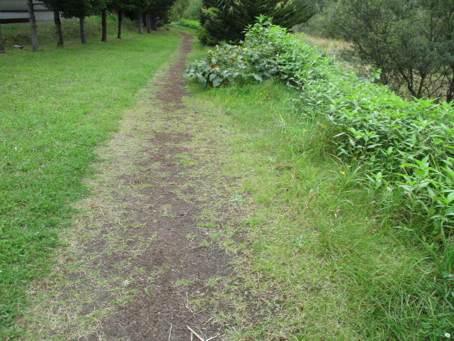 d0198793_1895787.jpg