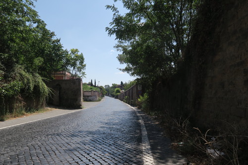d0077699_1174542.jpg