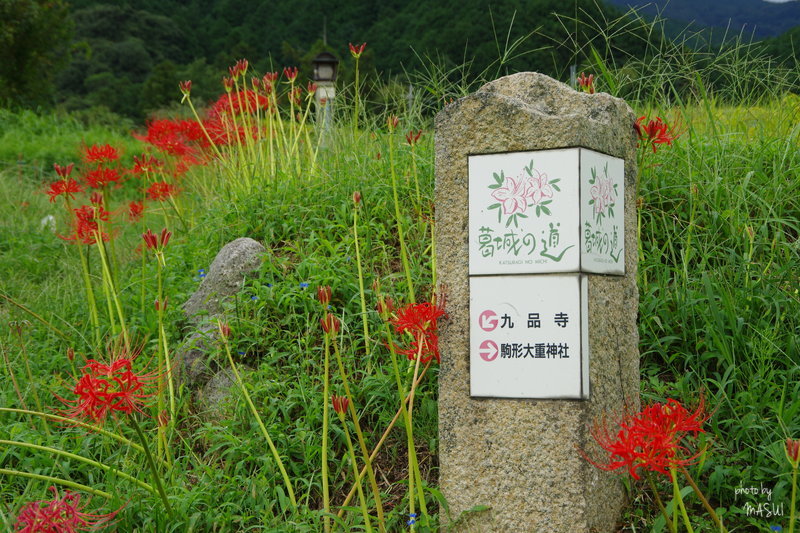 d0342307_09215555.jpg
