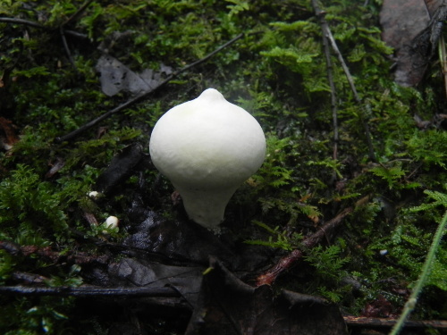 e0352220_00040804.jpg