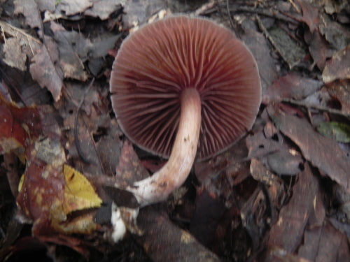 e0352220_00203935.jpg