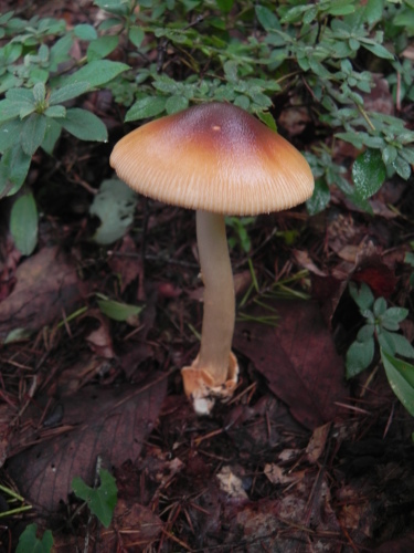 e0352220_00275111.jpg