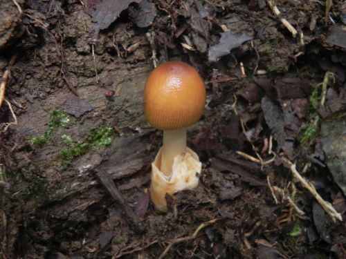 e0352220_00291553.jpg