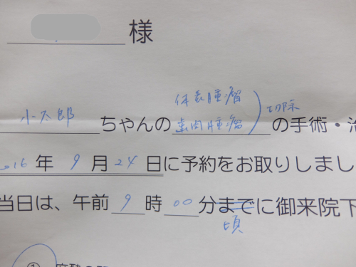 f0128821_22084161.jpg