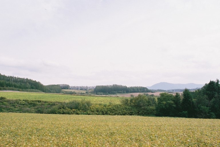 f0362725_16572748.jpg