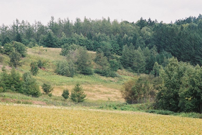f0362725_16581634.jpg