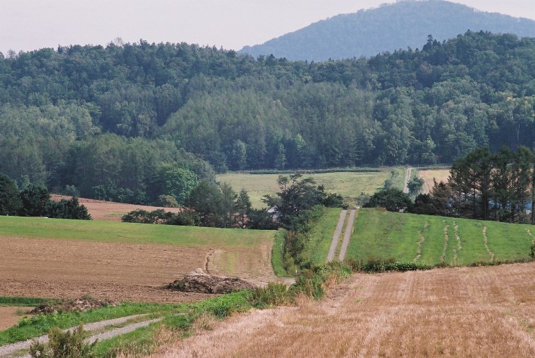 f0362725_16584418.jpg
