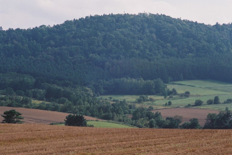 f0362725_16585179.jpg