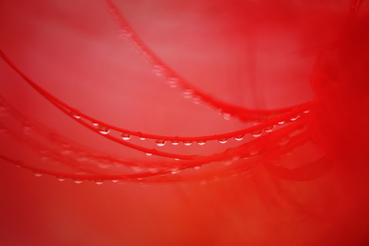 e0311229_0193736.jpg
