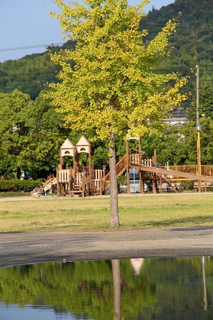a0242438_21215809.jpg