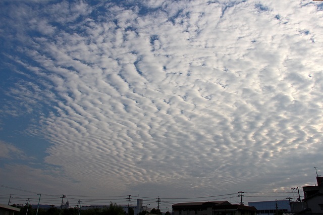 a0242438_21215821.jpg