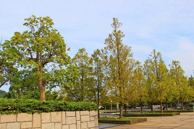a0242438_21215888.jpg