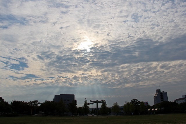 a0242438_21220978.jpg
