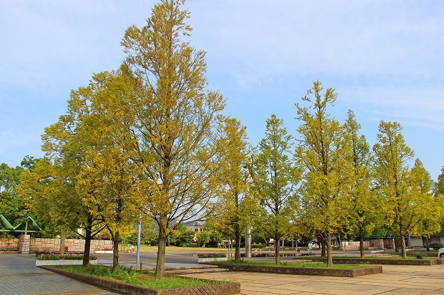 a0242438_21232794.jpg