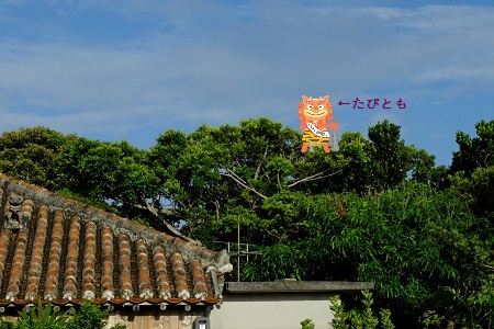 c0148238_14545236.jpg