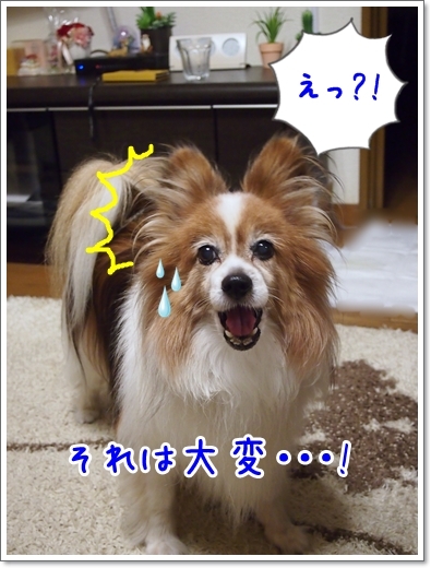 d0013149_00071136.jpg
