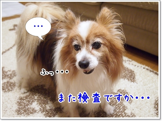 d0013149_00302867.jpg
