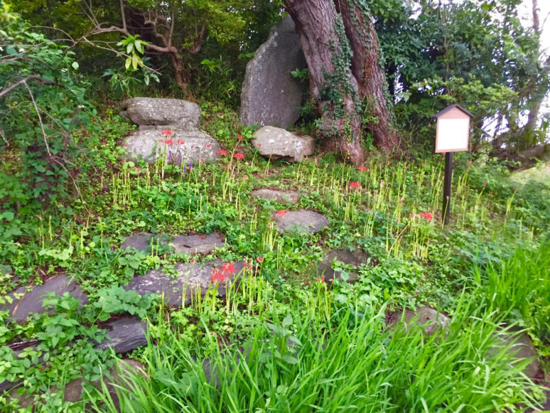b0367250_01153761.jpg