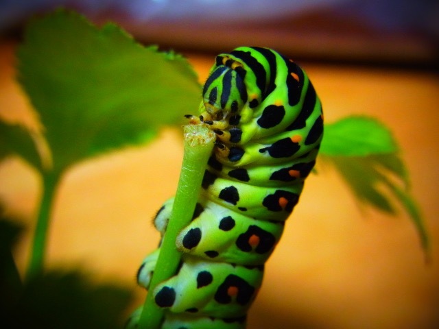 b0238760_09210073.jpg