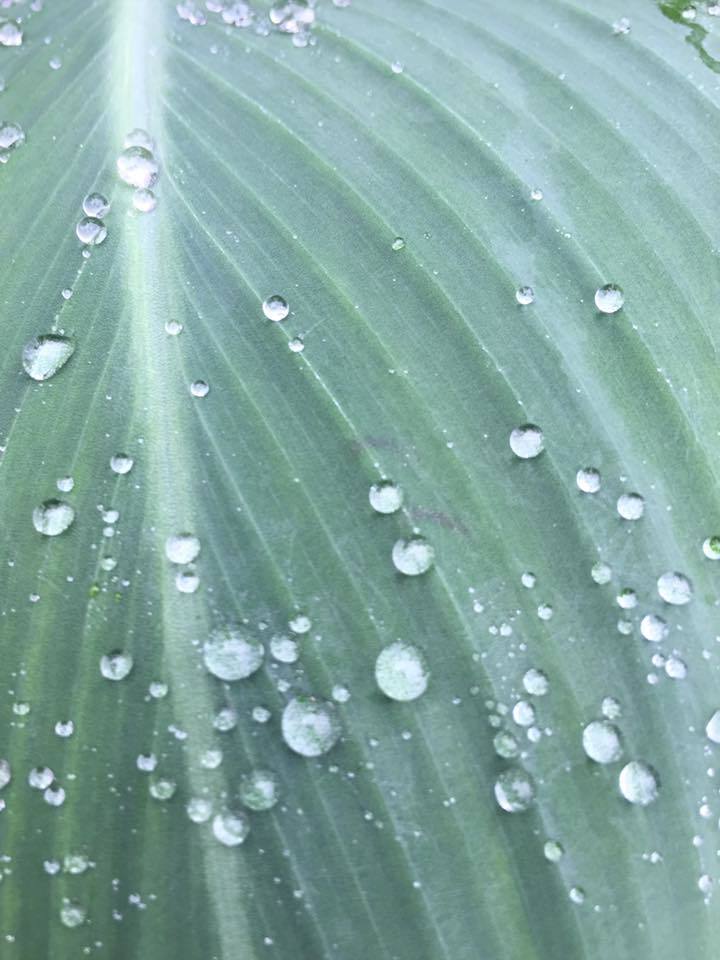 c0115560_10505155.jpg