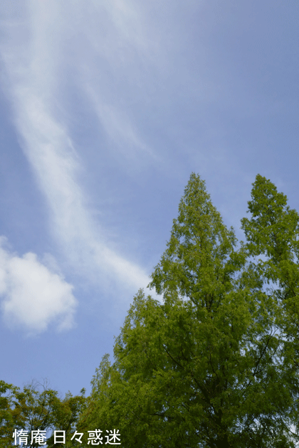 e0346064_18332898.gif