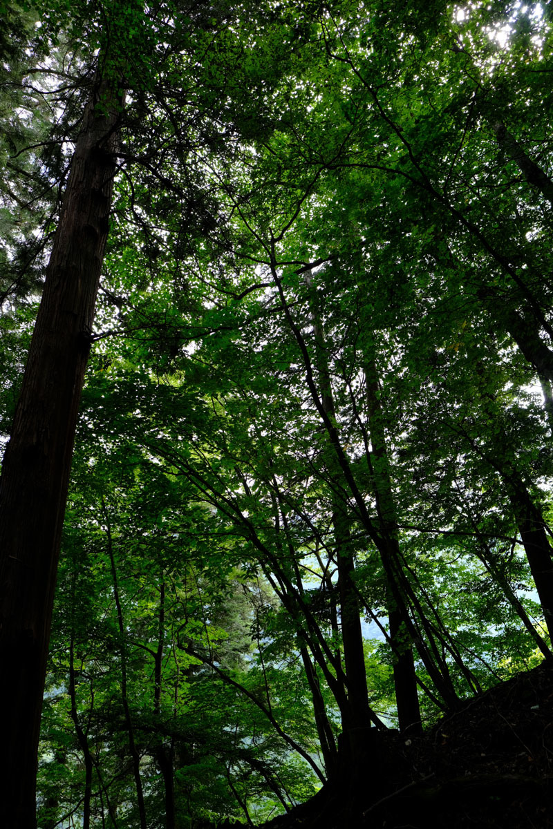 c0084666_21281569.jpg