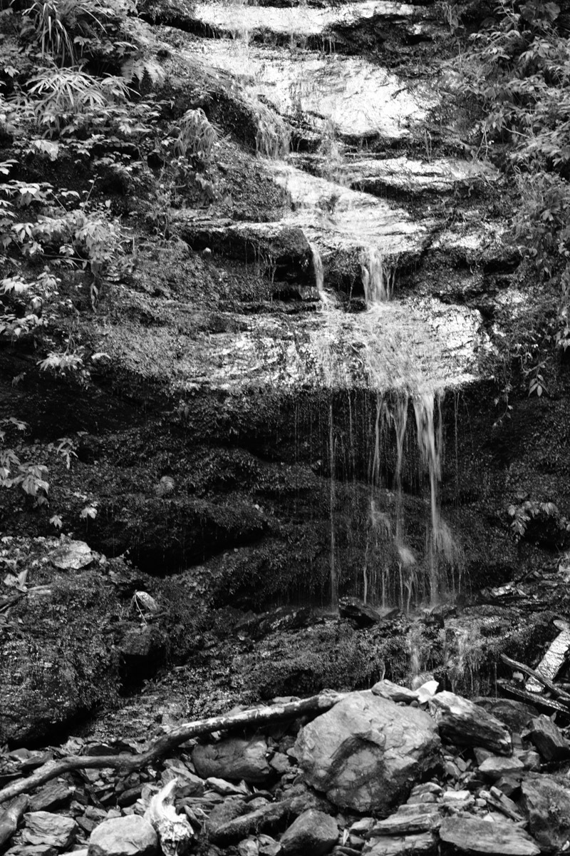 c0084666_22073103.jpg