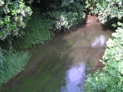 c0112172_4501231.jpg