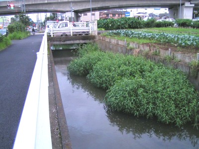 c0112172_450515.jpg