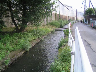 c0112172_450934.jpg