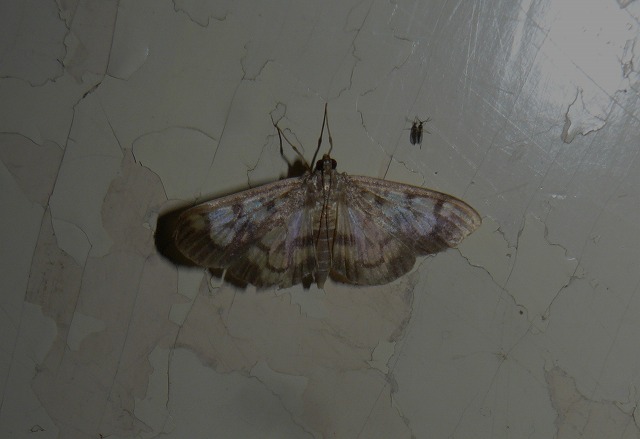 d0019074_8204815.jpg