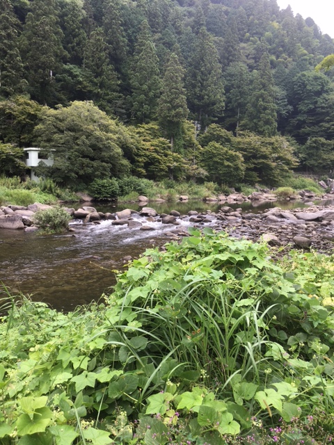 d0238881_10492257.jpg