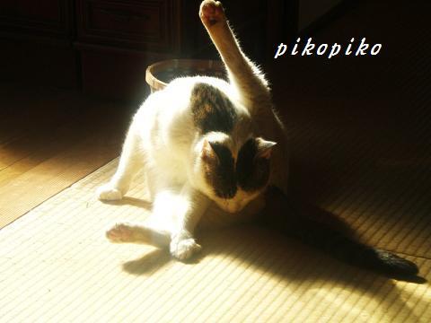 e0353681_20070555.jpg