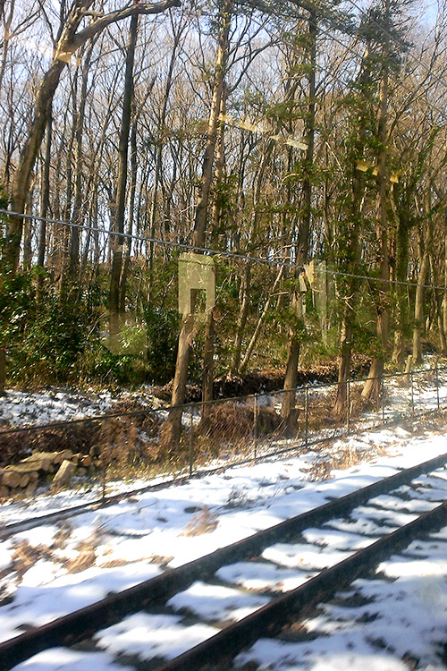 c0001491_19424843.jpg