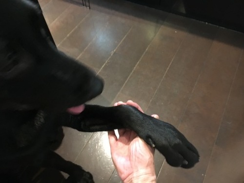 f0347891_21560039.jpeg