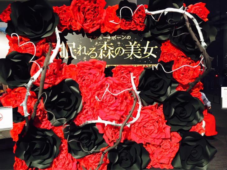 a0146493_11453855.jpg