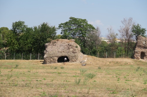 d0077699_224213.jpg
