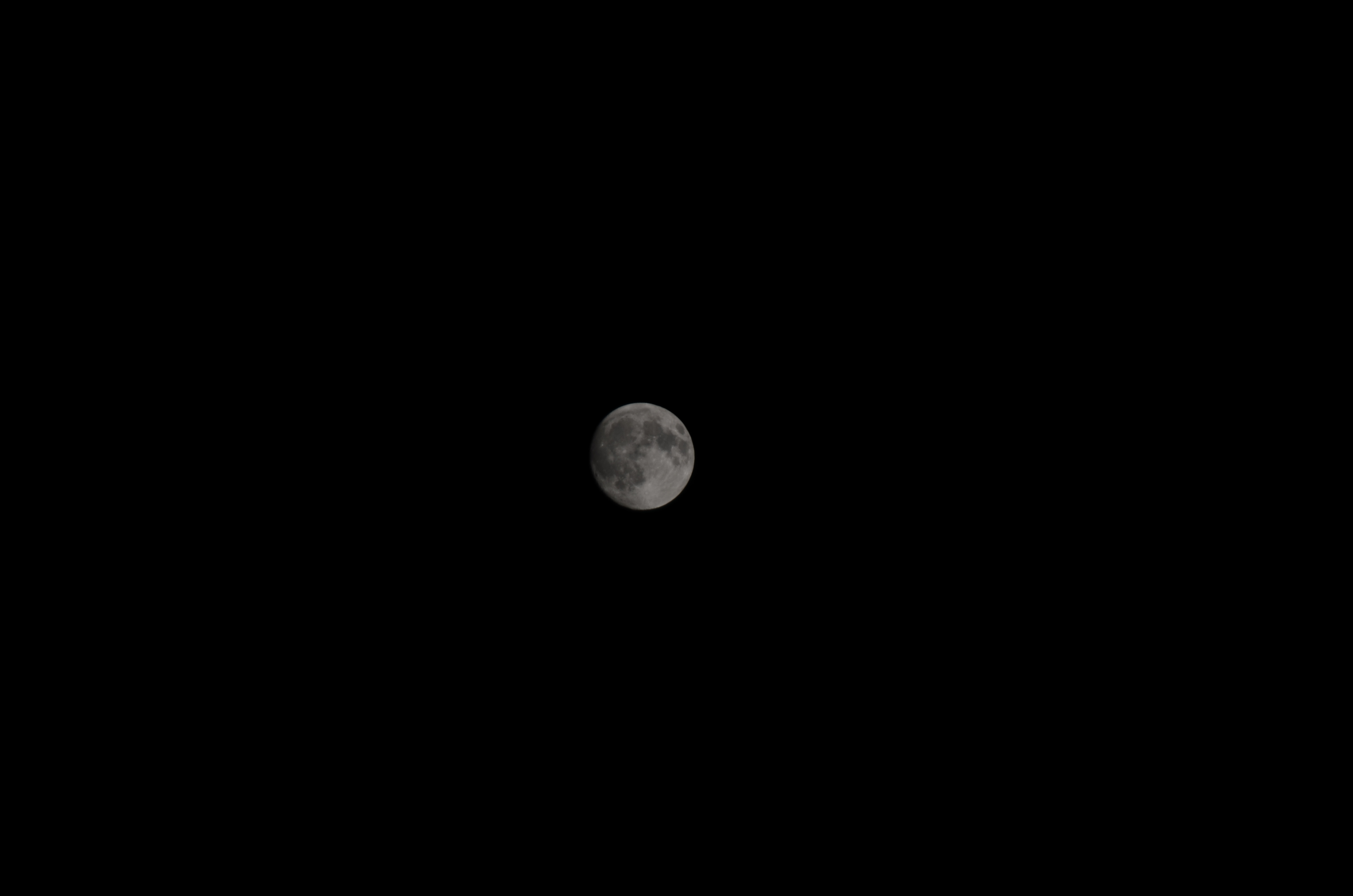 c0336907_20104421.jpg