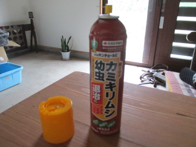 f0341616_15054434.jpg