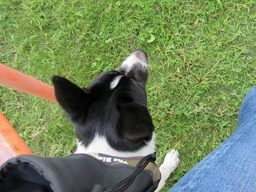 c0084117_2103950.jpg
