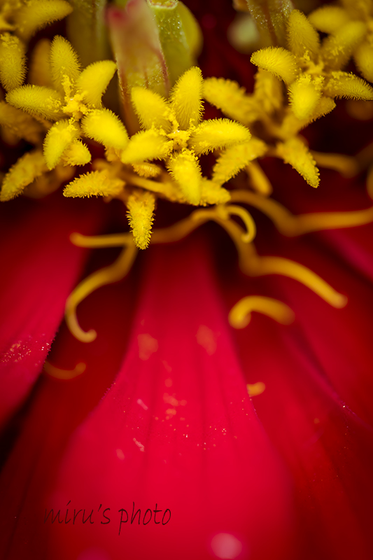 c0037519_23464787.jpg