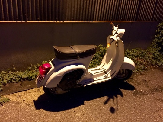 e0165019_23520178.jpeg