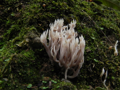e0352220_22043266.jpg