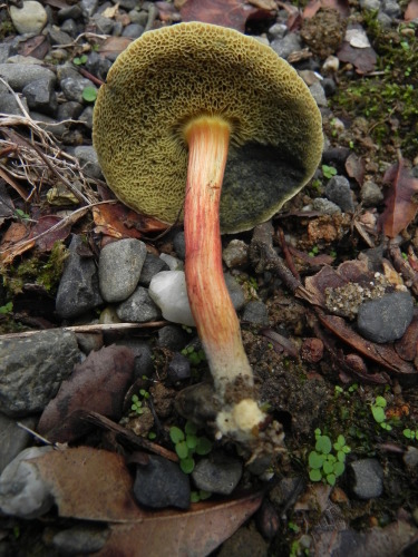 e0352220_22102556.jpg