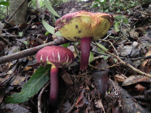 e0352220_22152228.jpg