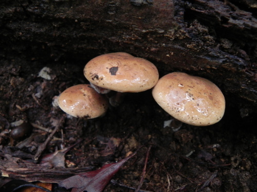 e0352220_22241055.jpg