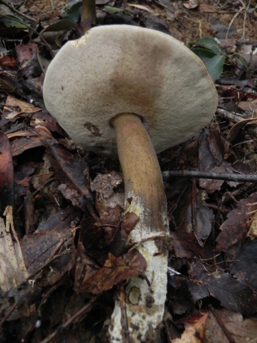 e0352220_22252316.jpg