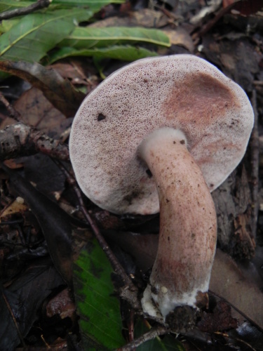 e0352220_22353237.jpg