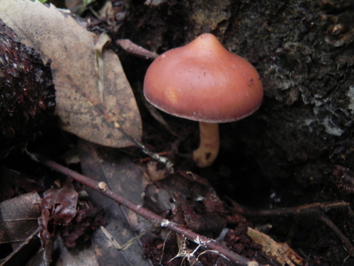e0352220_23304066.jpg